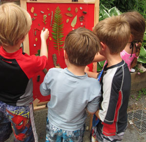 kids playing in nature